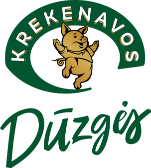 logo-duzges